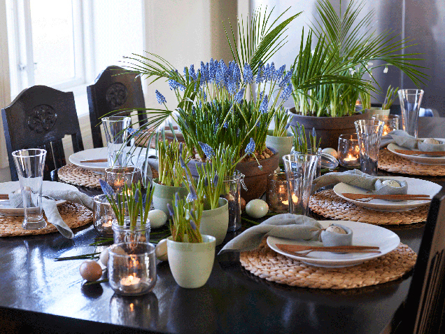 Muscari-perleblomster-til-bordpynt.jpg