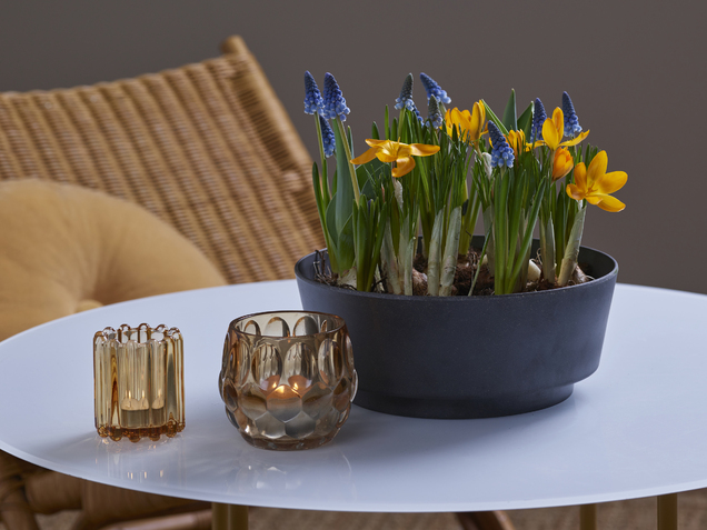 Perleblomst og krokkus_636x477.jpg