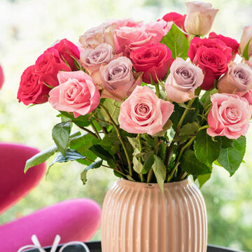 Roser---fargerike-636x424