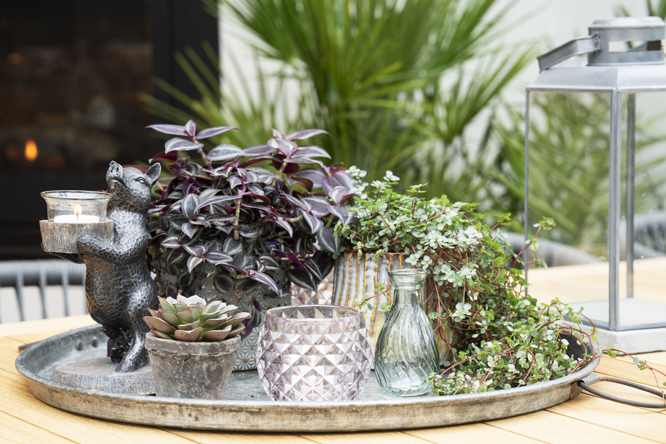 Fat med planter_970x647.jpg